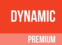 ราคา โฮย่า โปรเกรสซีฟ dynamic premium